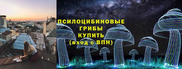 спиды Богданович