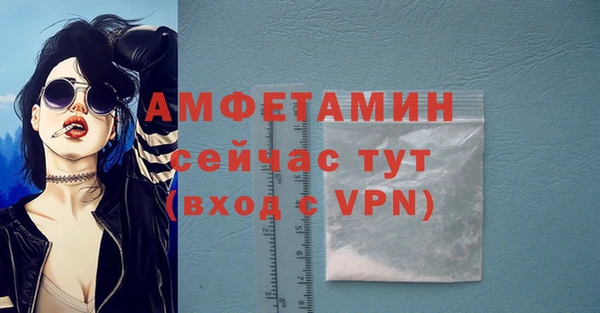 спиды Богданович