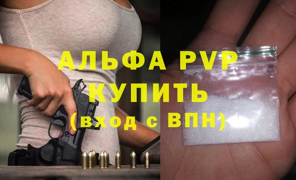 хмурый Бородино